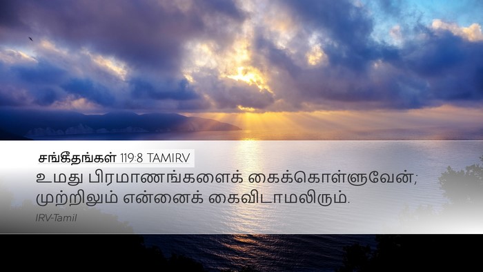 சங்கீதங்கள் 119:8 TAMIRV Bible Verse Image