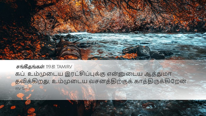சங்கீதங்கள் 119:81 TAMIRV Bible Verse Image