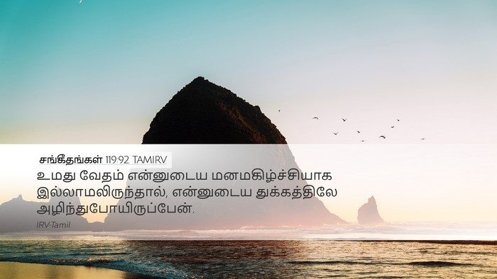 சங்கீதங்கள் 119:92 TAMIRV Bible Verse Image