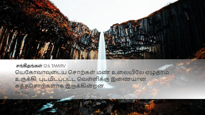 சங்கீதங்கள் 12:6 TAMIRV Bible Verse Image