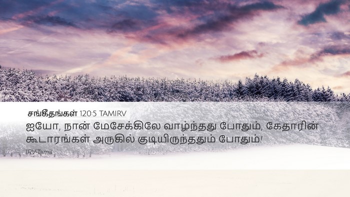 சங்கீதங்கள் 120:5 TAMIRV Desktop Wallpaper - ஐயோ, நான் - Desktop Bible Verse Wallpaper