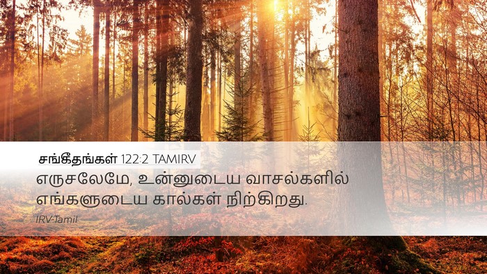 சங்கீதங்கள் 122:2 TAMIRV Desktop Wallpaper - எருசலேமே, - Desktop Bible Verse Wallpaper