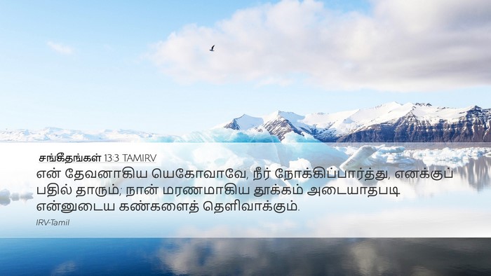 சங்கீதங்கள் 13:3 TAMIRV Bible Verse Image