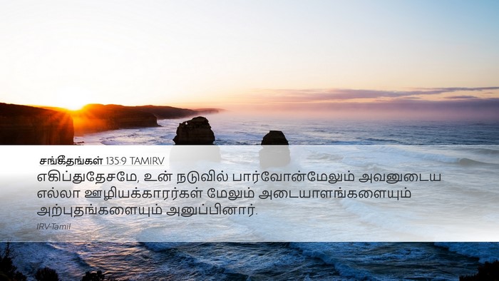 சங்கீதங்கள் 135:9 TAMIRV Desktop Wallpaper - எகிப்துதேசமே, உன் - Desktop Bible Verse Wallpaper