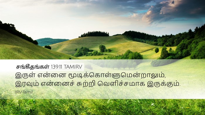 சங்கீதங்கள் 139:11 TAMIRV Bible Verse Image