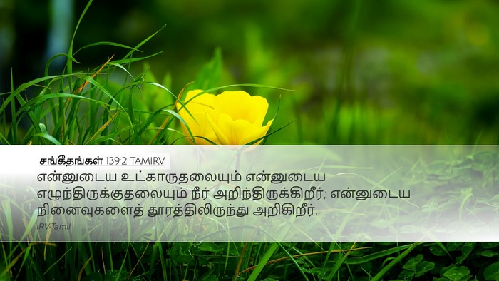 சங்கீதங்கள் 139:2 TAMIRV Bible Verse Image