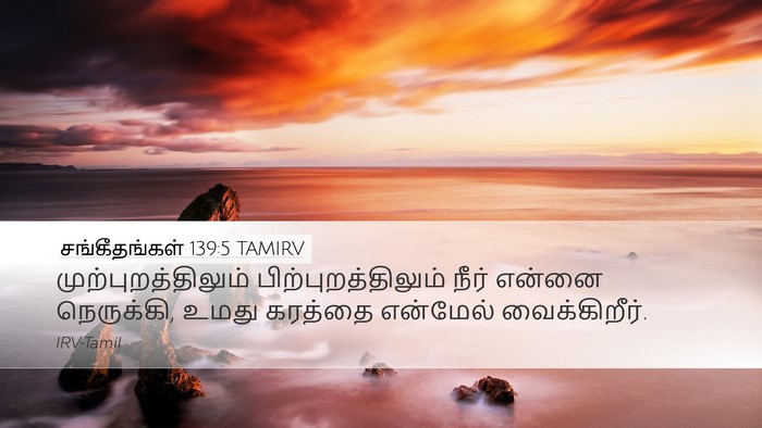 சங்கீதங்கள் 139:5 TAMIRV Desktop Wallpaper - முற்புறத்திலும் - Desktop Bible Verse Wallpaper