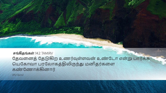 சங்கீதங்கள் 14:2 TAMIRV Desktop Wallpaper - தேவனைத் தேடுகிற - Desktop Bible Verse Wallpaper