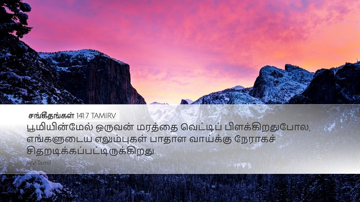 சங்கீதங்கள் 141:7 TAMIRV Bible Verse Image
