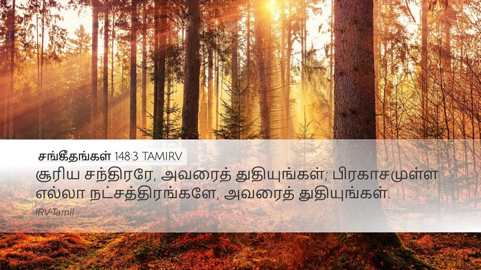 சங்கீதங்கள் 148:3 TAMIRV Desktop Wallpaper - சூரிய சந்திரரே, - Desktop Bible Verse Wallpaper
