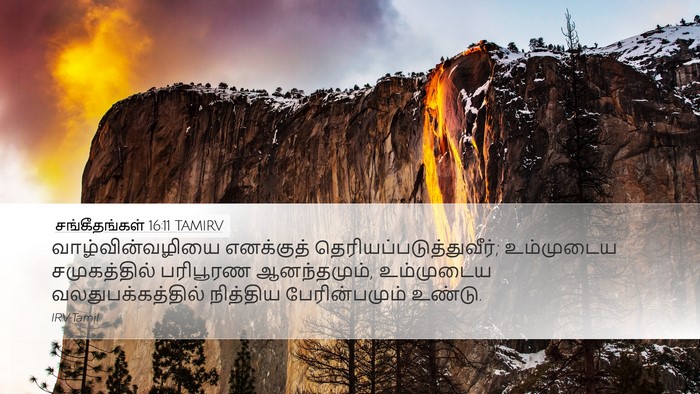சங்கீதங்கள் 16:11 TAMIRV Bible Verse Image