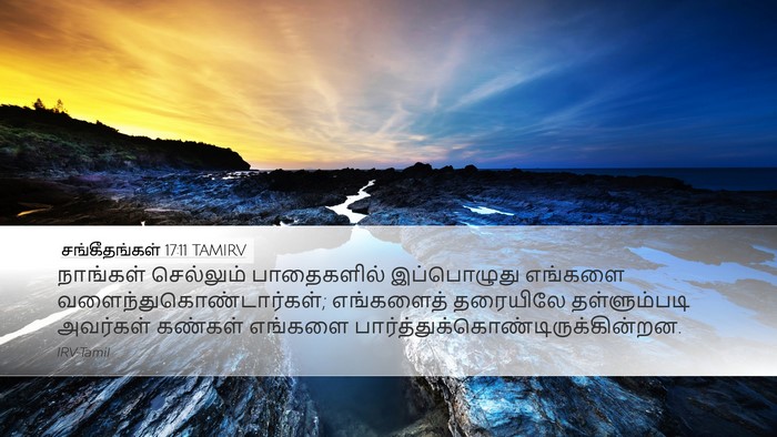 சங்கீதங்கள் 17:11 TAMIRV Bible Verse Image