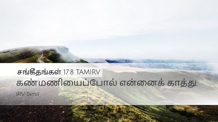 சங்கீதங்கள் 17:8 TAMIRV Bible Verse Image