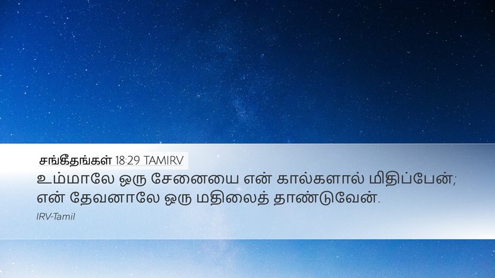 சங்கீதங்கள் 18:29 TAMIRV Bible Verse Image