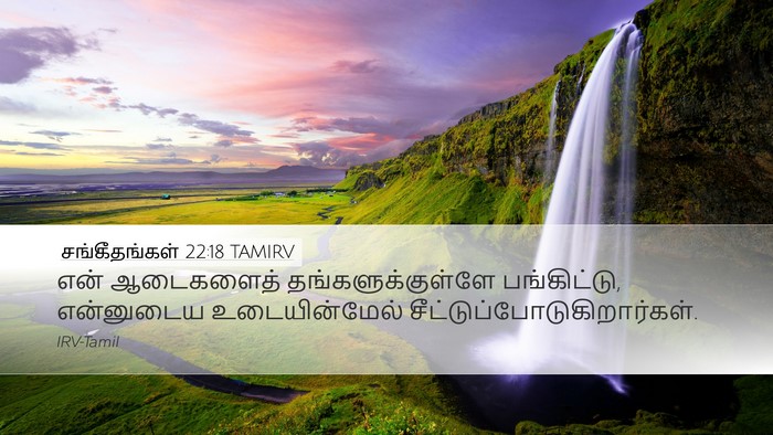 சங்கீதங்கள் 22:18 TAMIRV Bible Verse Image