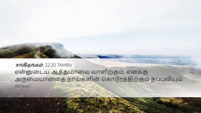சங்கீதங்கள் 22:20 TAMIRV Bible Verse Image