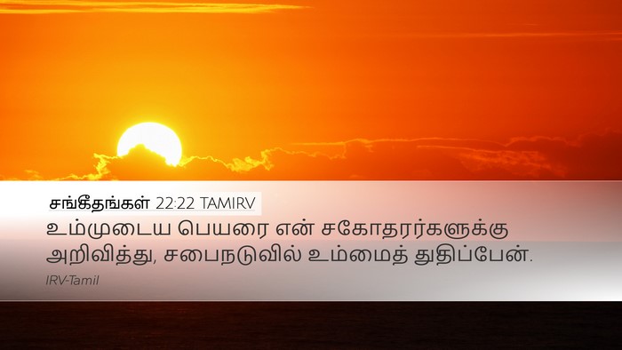 சங்கீதங்கள் 22:22 TAMIRV Bible Verse Image