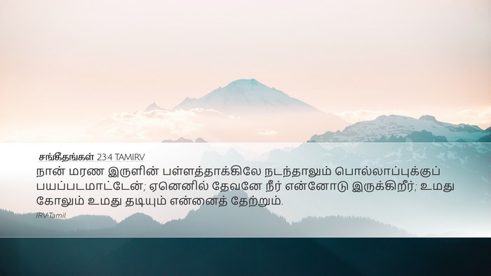 சங்கீதங்கள் 23:4 TAMIRV Bible Verse Image