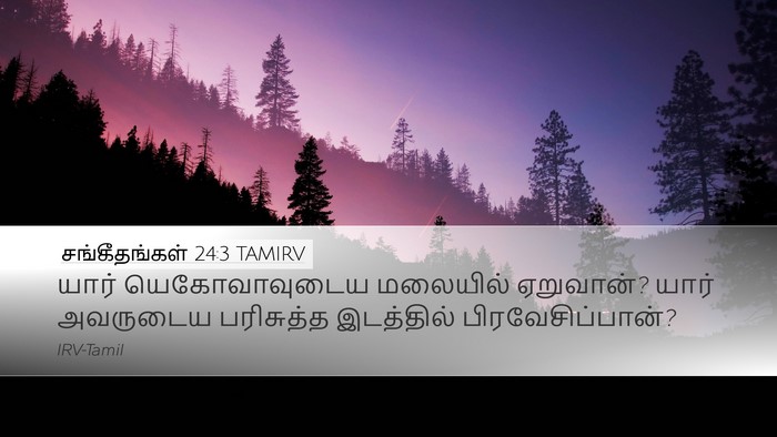 சங்கீதங்கள் 24:3 TAMIRV Desktop Wallpaper - யார் யெகோவாவுடைய - Desktop Bible Verse Wallpaper
