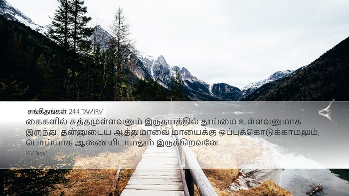 சங்கீதங்கள் 24:4 TAMIRV Bible Verse Image