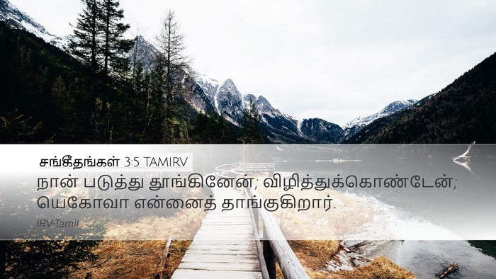 சங்கீதங்கள் 3:5 TAMIRV Desktop Wallpaper - நான் படுத்து - Desktop Bible Verse Wallpaper