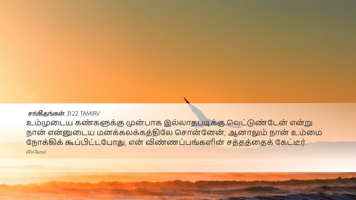சங்கீதங்கள் 31:22 TAMIRV Bible Verse Image