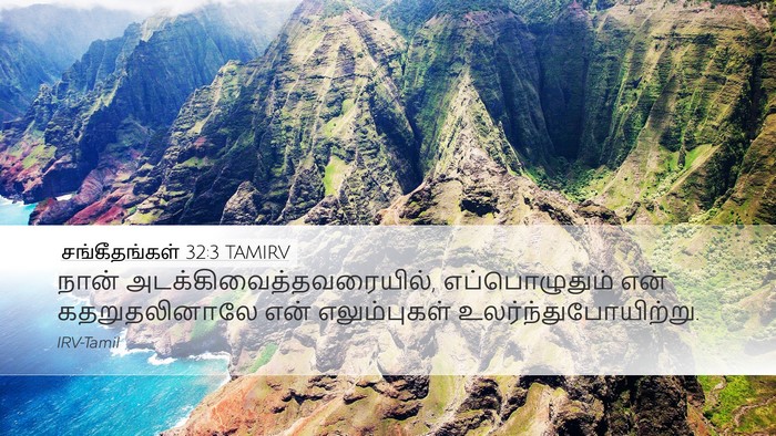 சங்கீதங்கள் 32:3 TAMIRV Bible Verse Image