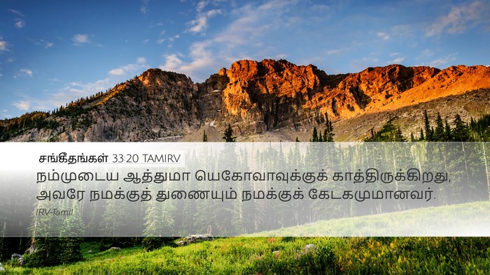 சங்கீதங்கள் 33:20 TAMIRV Bible Verse Image