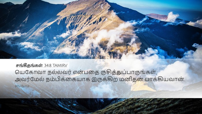 சங்கீதங்கள் 34:8 TAMIRV Bible Verse Image