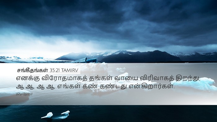 சங்கீதங்கள் 35:21 TAMIRV Bible Verse Image