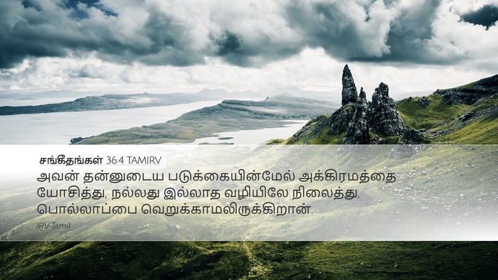 சங்கீதங்கள் 36:4 TAMIRV Bible Verse Image