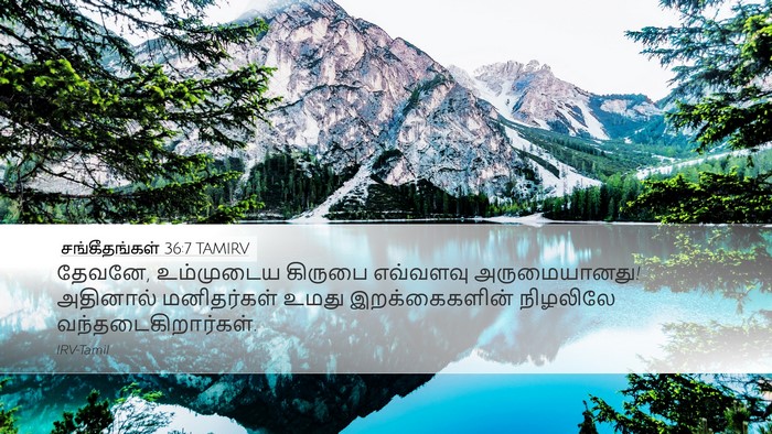 சங்கீதங்கள் 36:7 TAMIRV Bible Verse Image