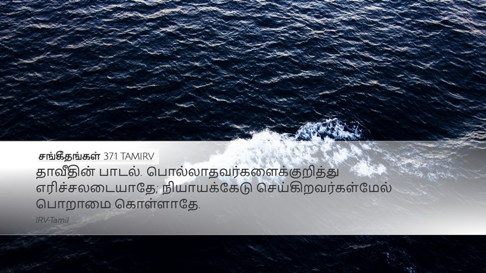 சங்கீதங்கள் 37:1 TAMIRV Bible Verse Image