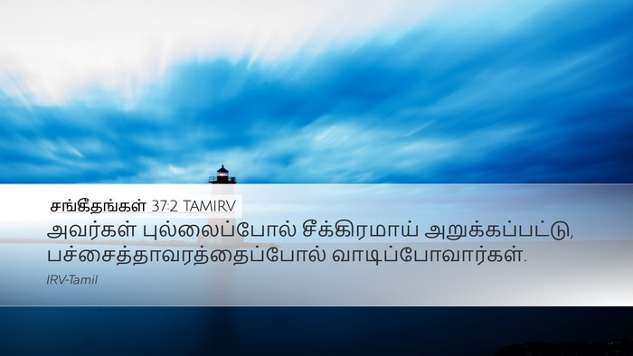 சங்கீதங்கள் 37:2 TAMIRV Bible Verse Image
