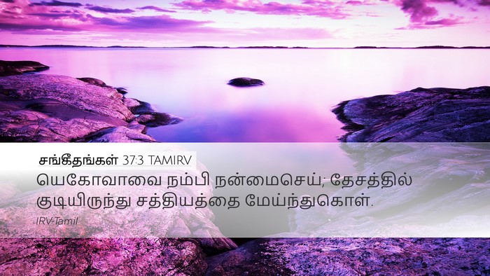 சங்கீதங்கள் 37:3 TAMIRV Bible Verse Image