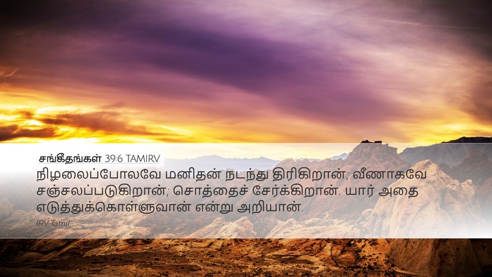 சங்கீதங்கள் 39:6 TAMIRV Desktop Wallpaper - நிழலைப்போலவே - Desktop Bible Verse Wallpaper