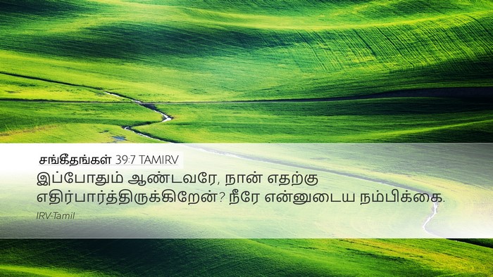 சங்கீதங்கள் 39:7 TAMIRV Desktop Wallpaper - இப்போதும் - Desktop Bible Verse Wallpaper