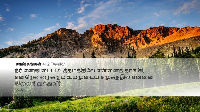 சங்கீதங்கள் 41:12 TAMIRV Desktop Wallpaper - நீர் என்னுடைய - Desktop Bible Verse Wallpaper