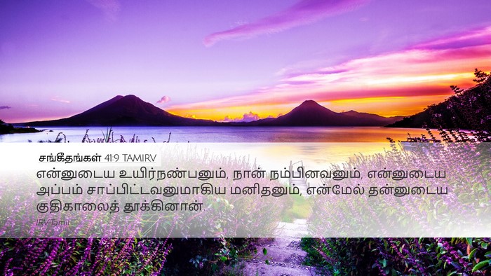 சங்கீதங்கள் 41:9 TAMIRV Bible Verse Image