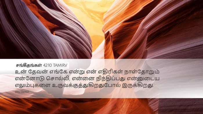 சங்கீதங்கள் 42:10 TAMIRV Bible Verse Image