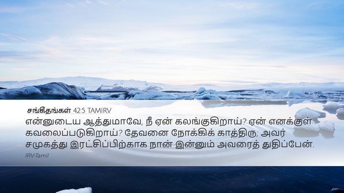 சங்கீதங்கள் 42:5 TAMIRV Bible Verse Image