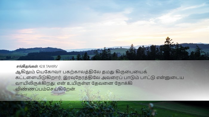 சங்கீதங்கள் 42:8 TAMIRV Bible Verse Image