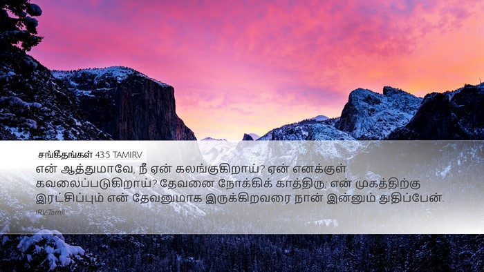 சங்கீதங்கள் 43:5 TAMIRV Bible Verse Image