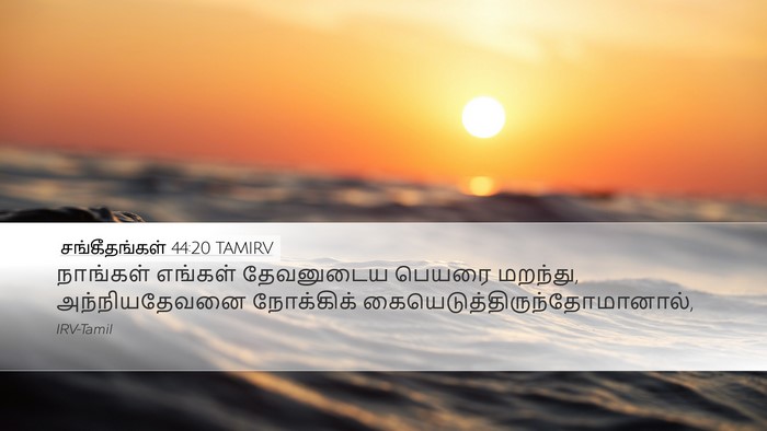 சங்கீதங்கள் 44:20 TAMIRV Bible Verse Image