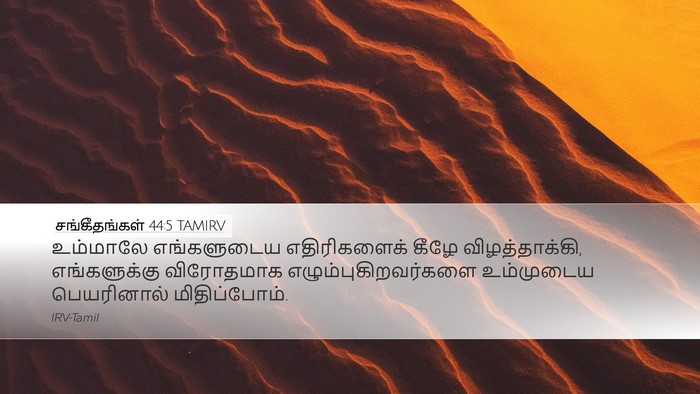 சங்கீதங்கள் 44:5 TAMIRV Bible Verse Image
