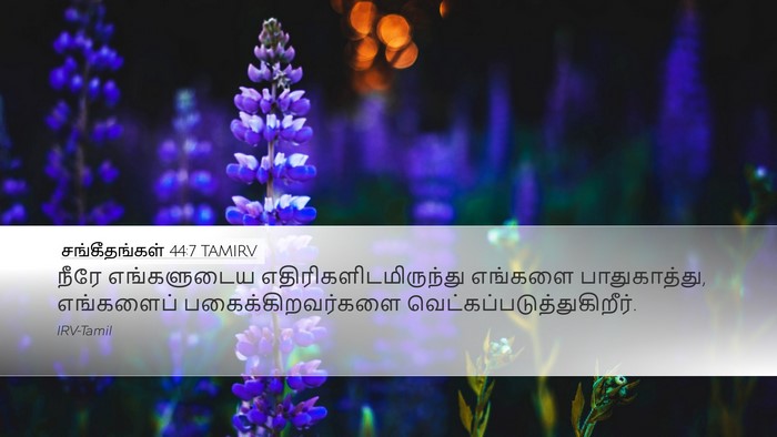 சங்கீதங்கள் 44:7 TAMIRV Desktop Wallpaper - நீரே எங்களுடைய - Desktop Bible Verse Wallpaper