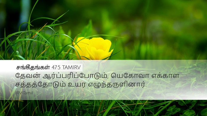 சங்கீதங்கள் 47:5 TAMIRV Desktop Wallpaper - தேவன் - Desktop Bible Verse Wallpaper