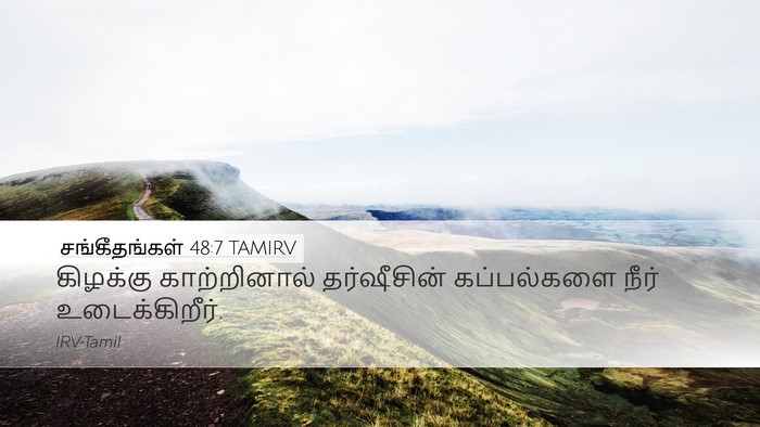 சங்கீதங்கள் 48:7 TAMIRV Desktop Wallpaper - கிழக்கு - Desktop Bible Verse Wallpaper