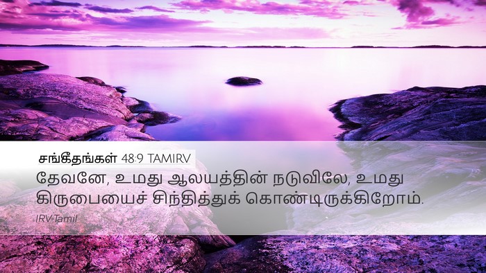 சங்கீதங்கள் 48:9 TAMIRV Bible Verse Image