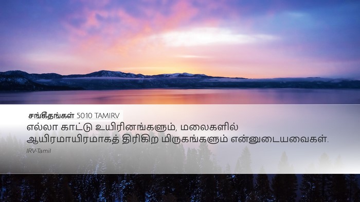 சங்கீதங்கள் 50:10 TAMIRV Bible Verse Image